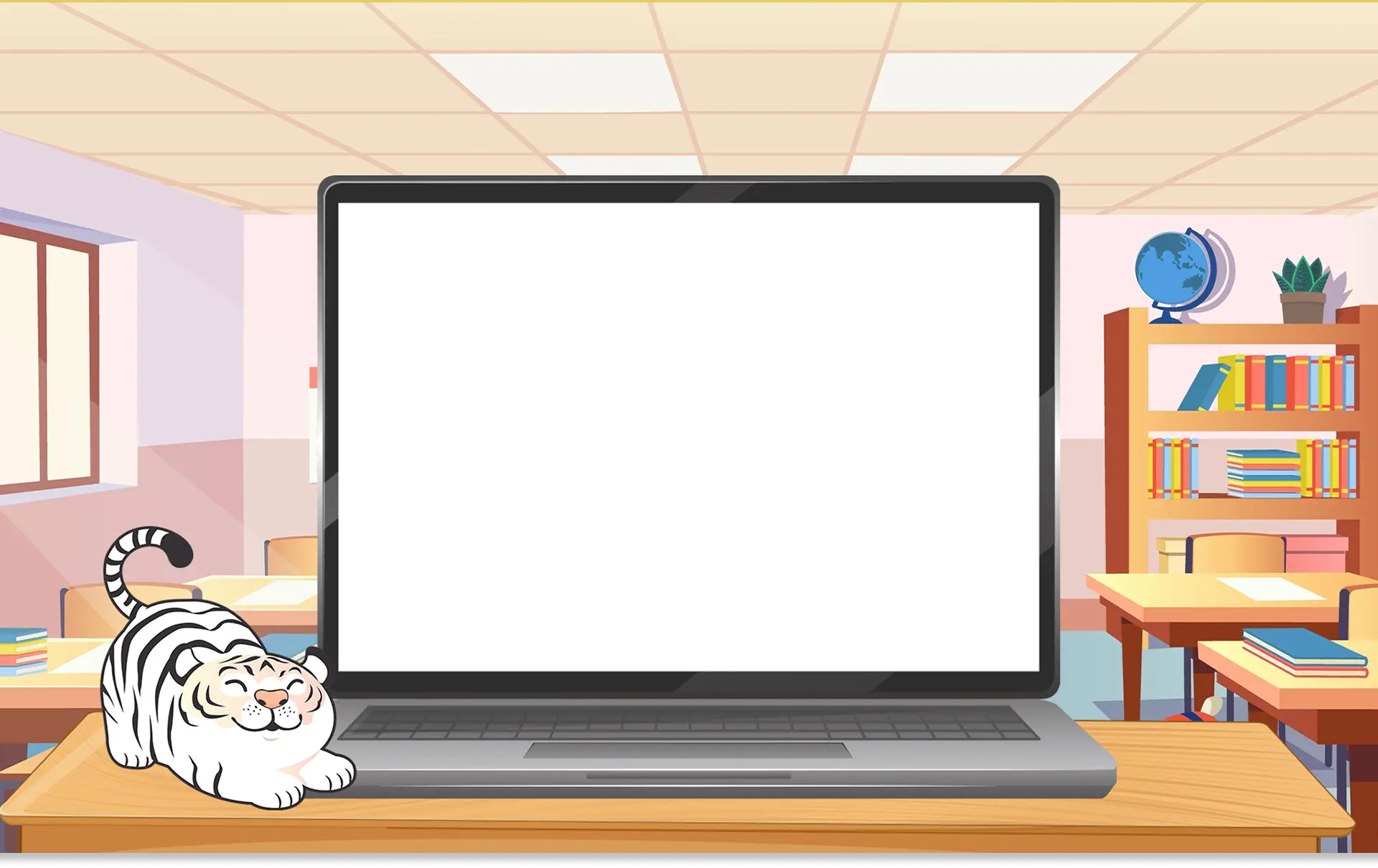 Programs background
